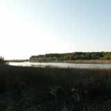 �Lo specchio d'acqua � collocato nella vecchia foce del Bradano - spiega la nostra guida Tania - fiume che oggi sfocia circa un chilometro pi� a sud...�
